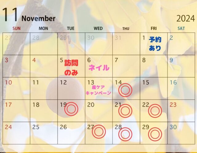 １１月の予定