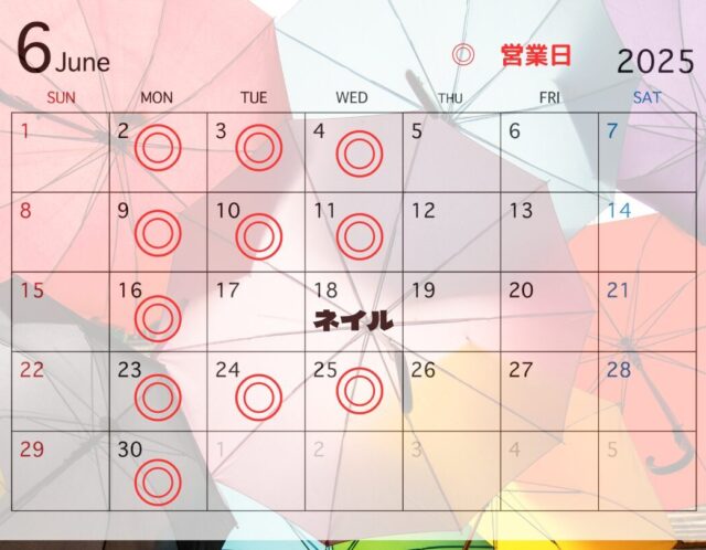 6月のスケジュール